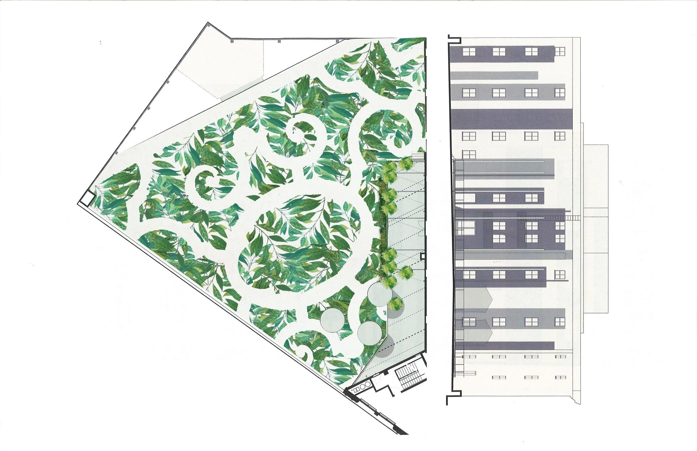 沃菲尔德剧院绿色屋顶丨美国丨Surfacedesign-16
