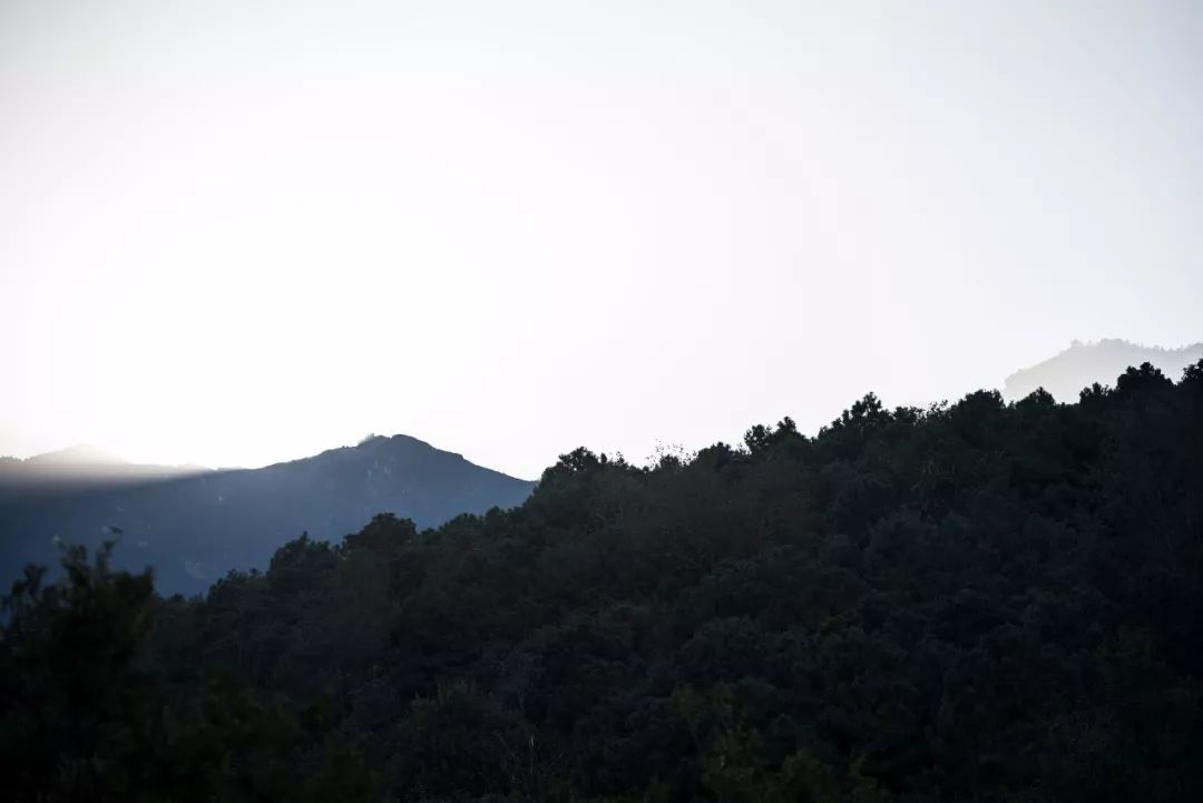 入世而出尘丨云南白药·大理健康养生创意园-46