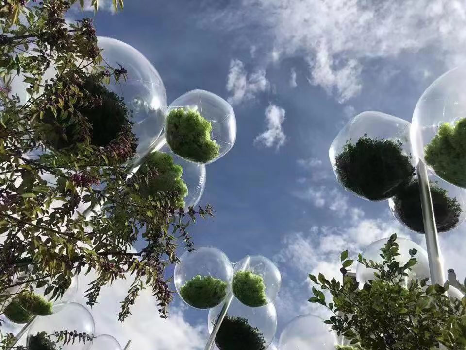 “城事绽放”花园-17