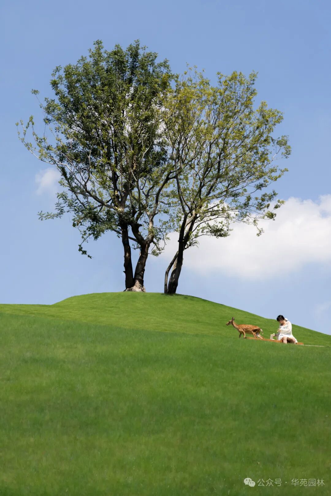 在岛上，过另一种生活丨武汉麓客岛一期一标段&水线公园南区景观工程-21