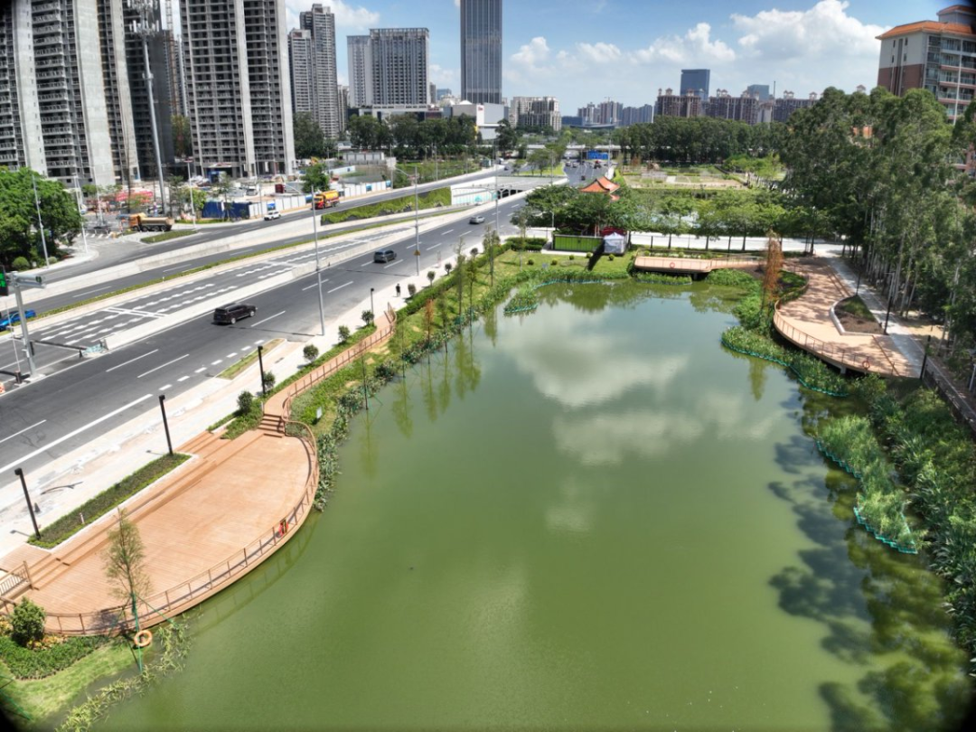 设计大师走进校园，共话凤凰大道调蓄塘ESG实践：打造城市“水心脏”防汛新标杆-30