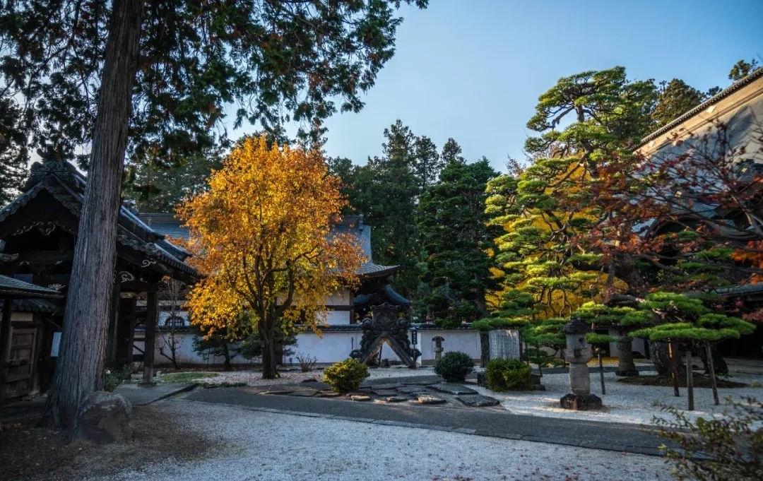 梦窗疏石·禅庭闲寂丨日本-50