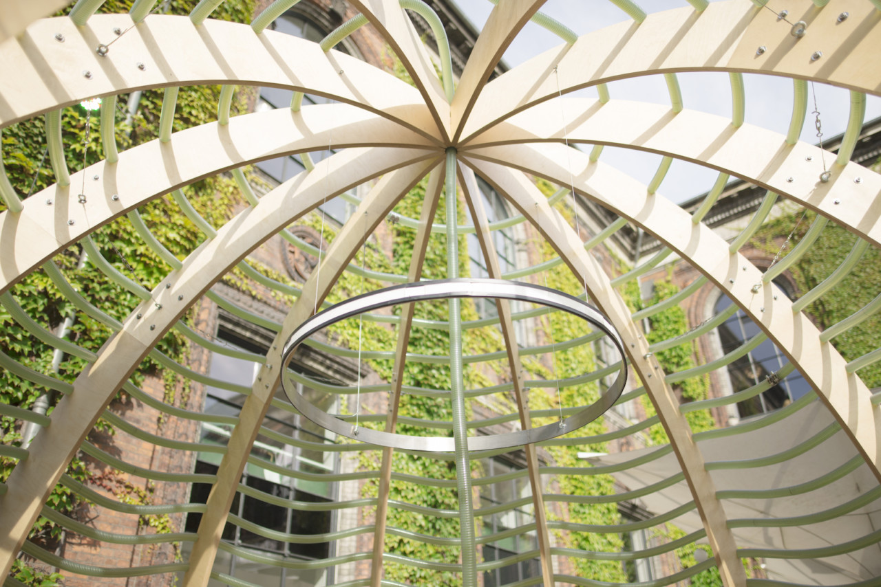 SPACE10’s Algae Dome Can Potentially Solve the World’s Biggest Problems-7