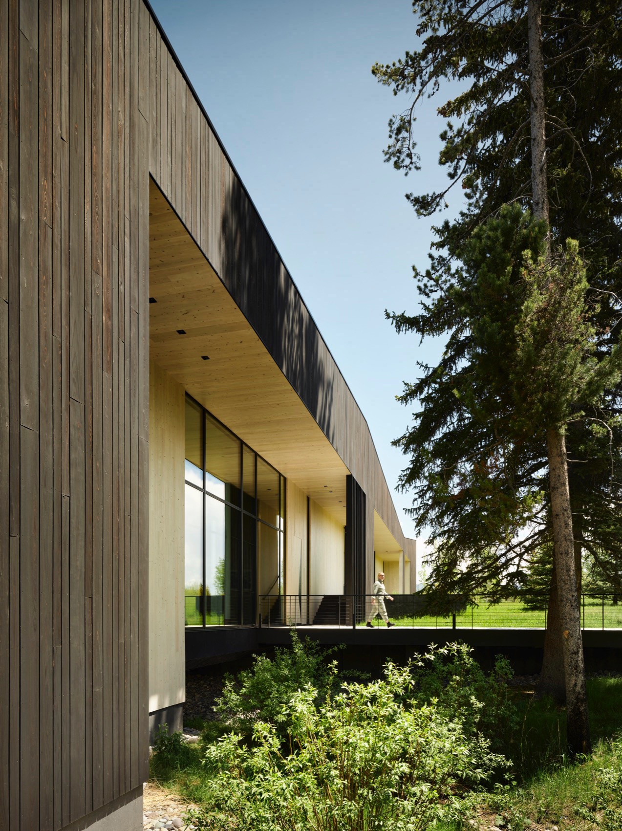 ShineMaker住宅，美国 / CLB Architects-21