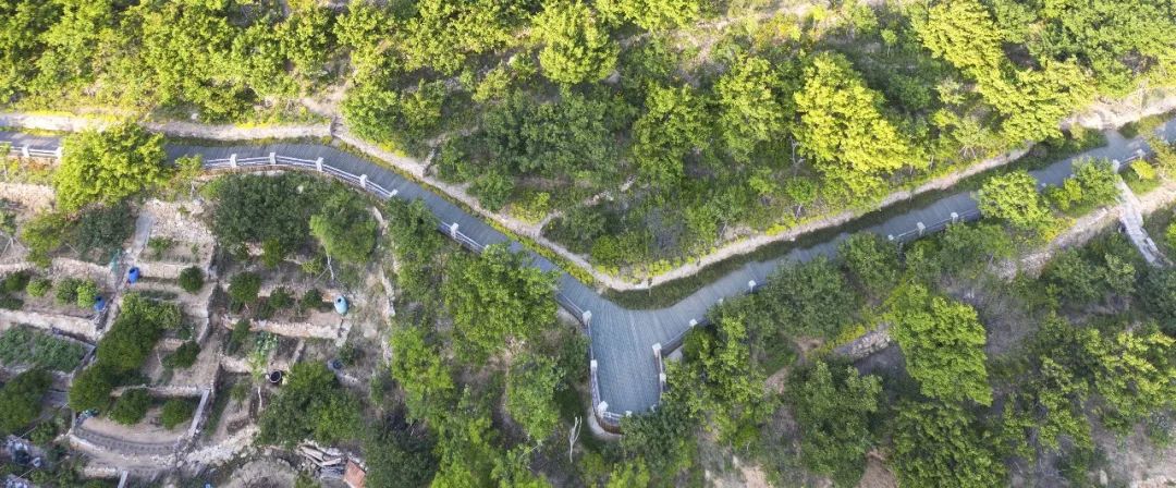 东麦窑社区美丽乡村建设工程丨中国青岛丨中建风景园林院-43