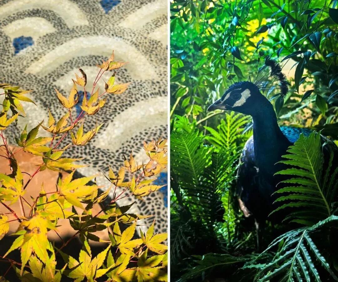 柏乐朗  大研心林酒店丨中国丽江丨广州市联智造营装饰设计有限公司-16