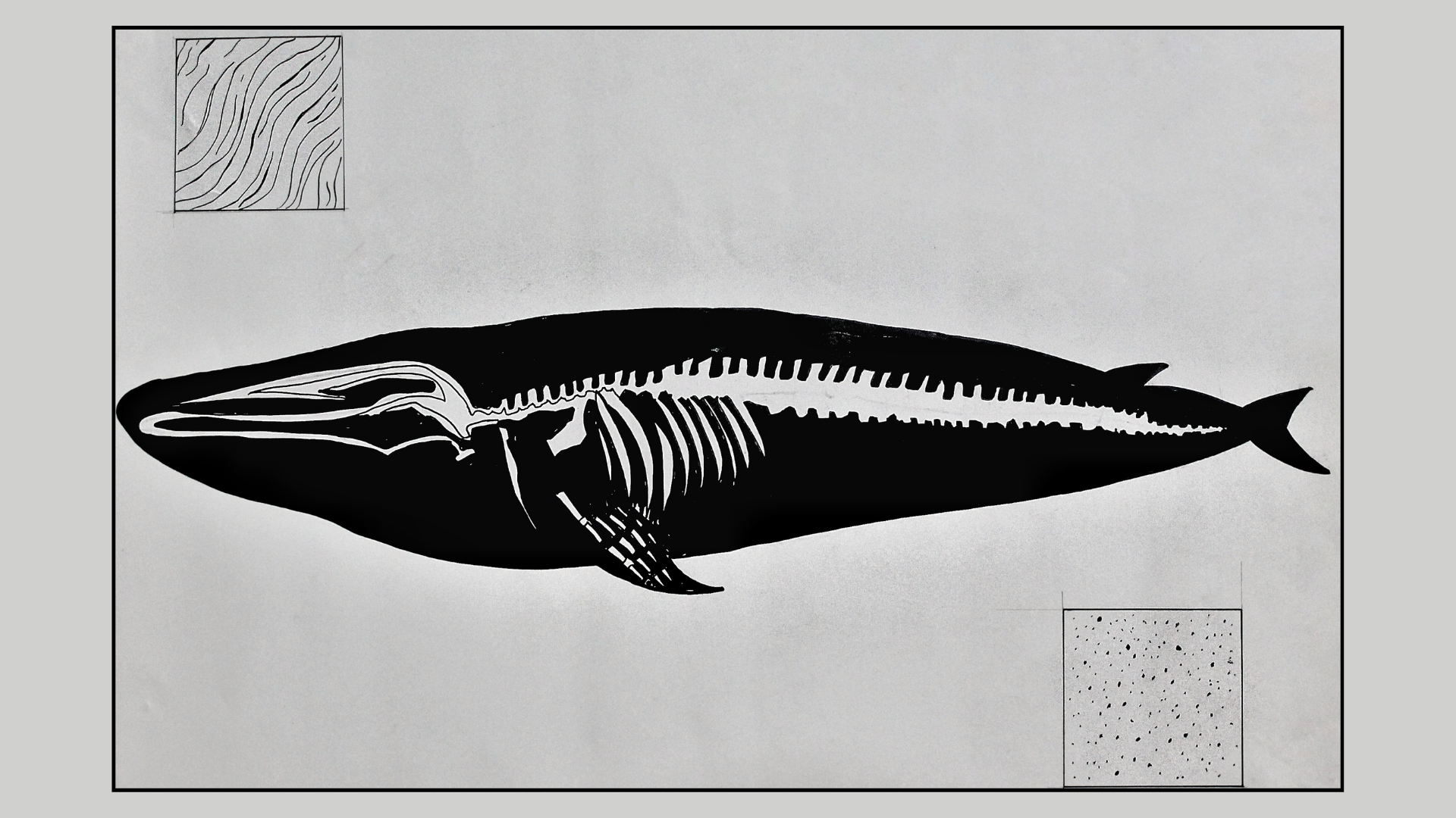Musée océanographique-0