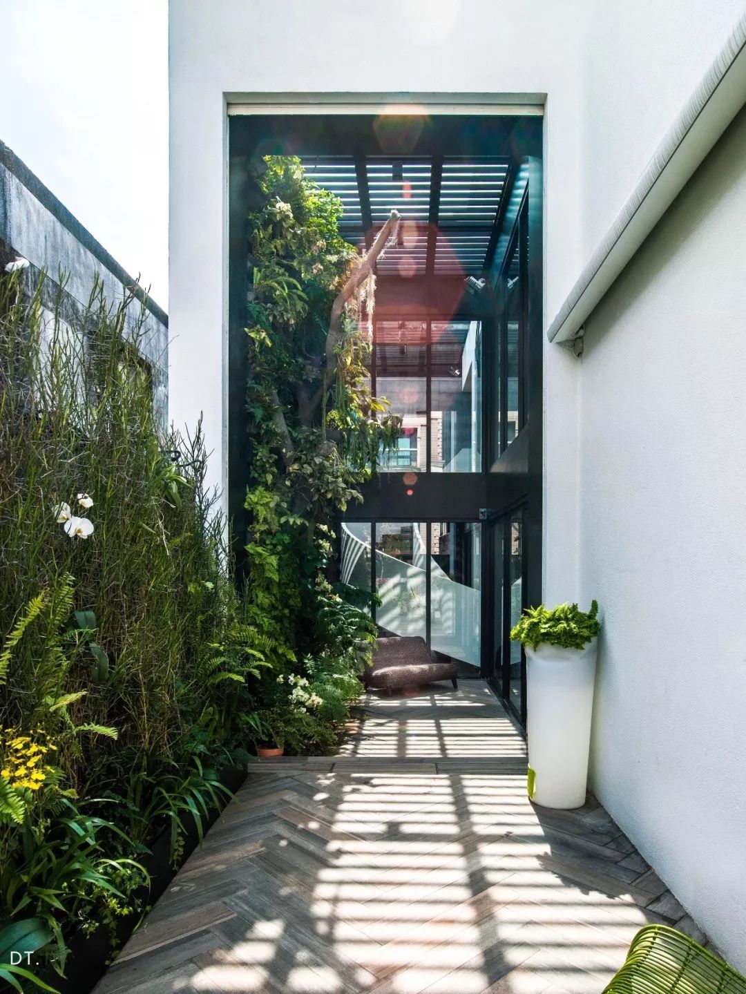 阳光里的美好片段-11