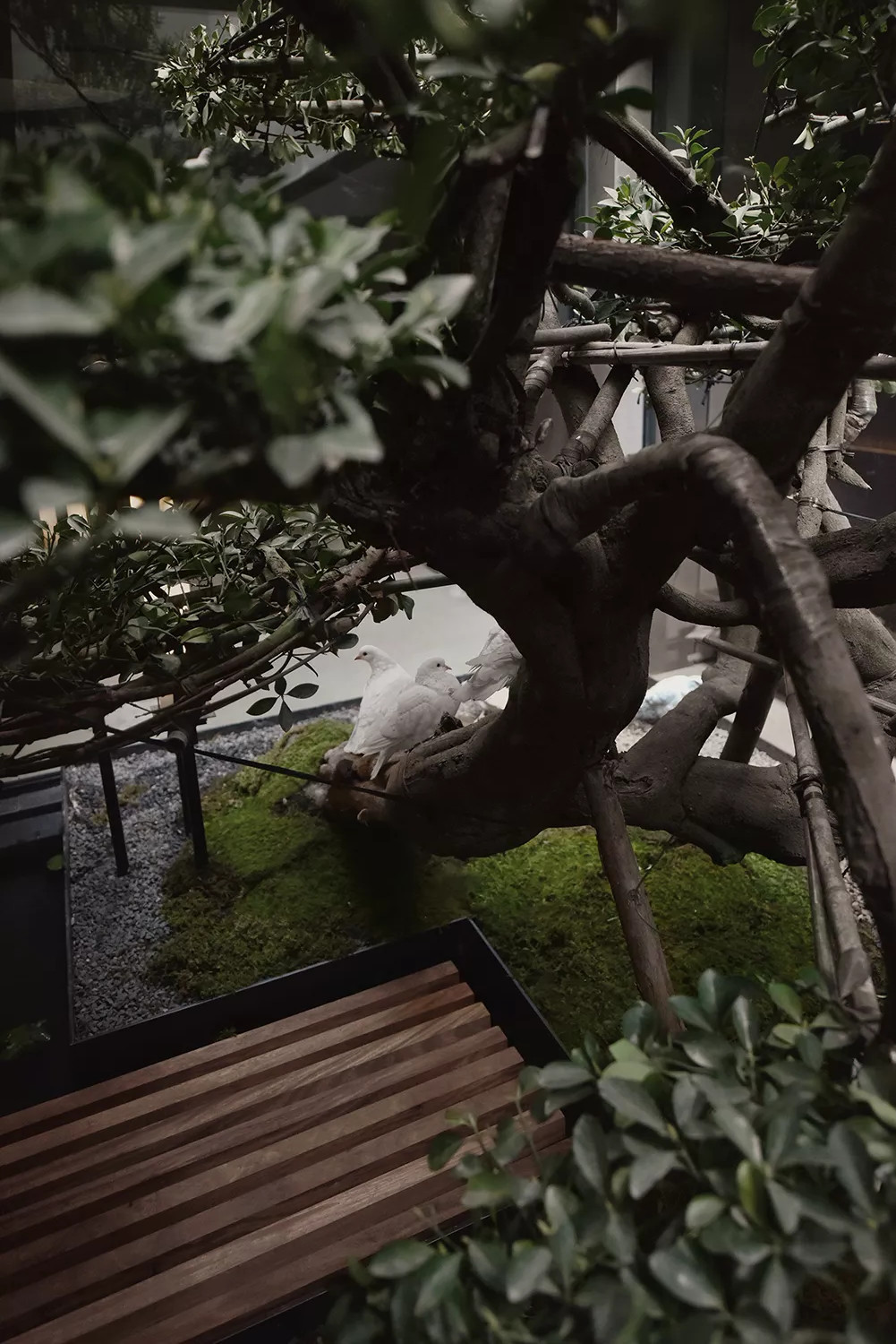 普利策 梦想改造家素丘園丨何思玮,梁穗明-9