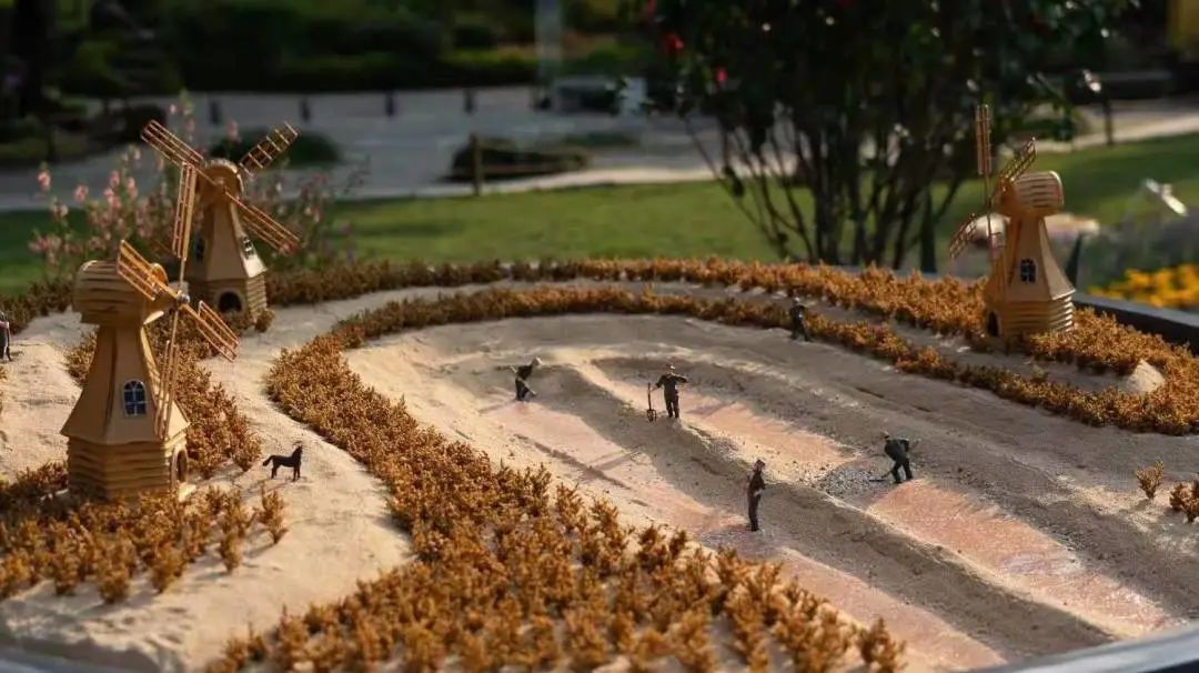 梵高梦花园丨中国深圳丨木杉景观-27