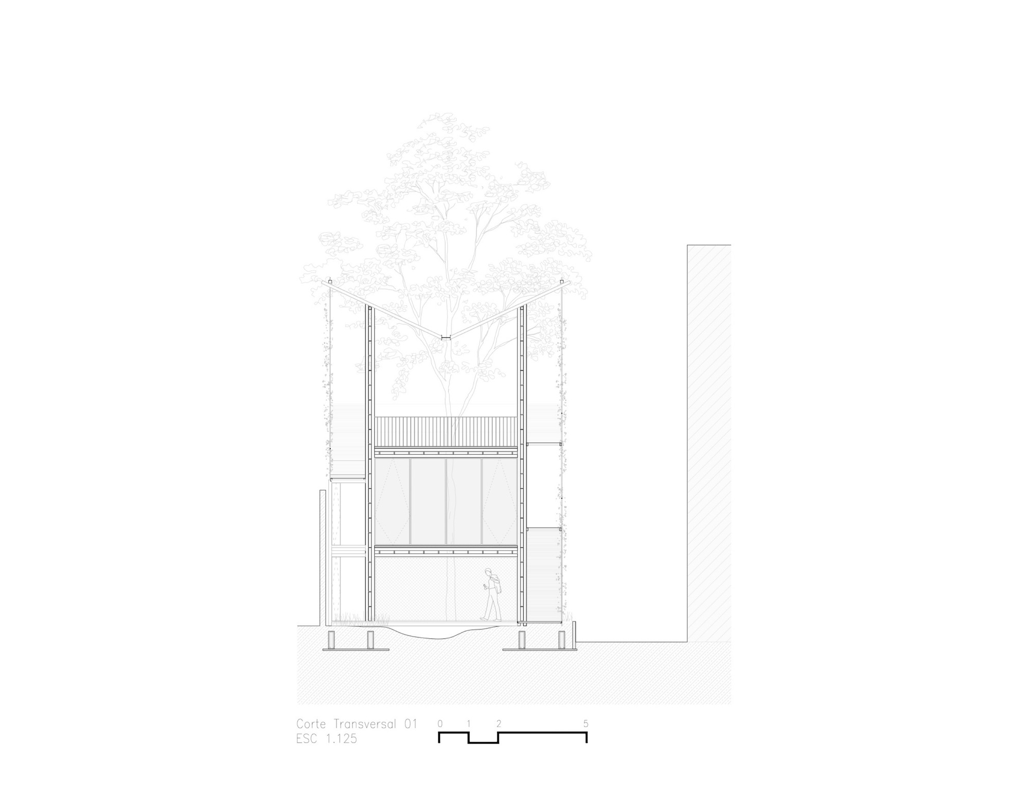 Cuicuilco 社区中心丨墨西哥墨西哥城-32