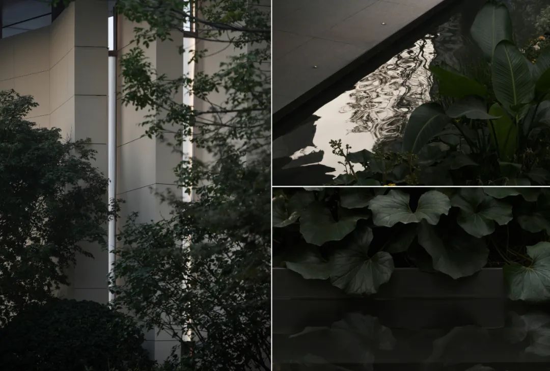 中海·唐山臻如府首开区丨中国河北丨深圳市派澜景观规划设计有限公司-56