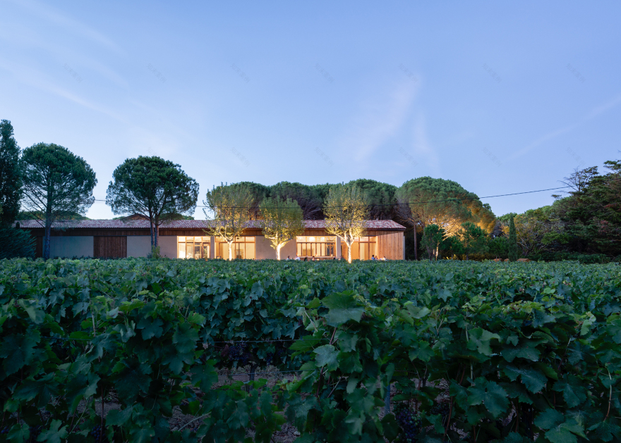 Domaine Fondugues Pradugues 酒庄丨法国丨Signum Architecture-8