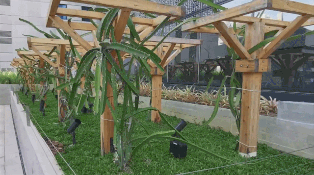 新加坡Funan Mall，为国内商业地产的存量改造提供了新的灵感！-95