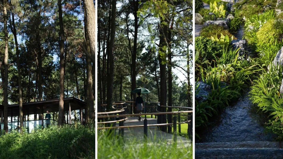 南京颐养中心丨中国南京丨LAURENT罗朗景观·JYL创研工作室-88