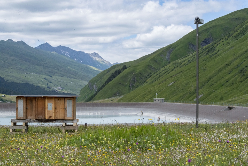 瑞士 Safiental 艺术双年展 | 垂直与水平的美学探索-55