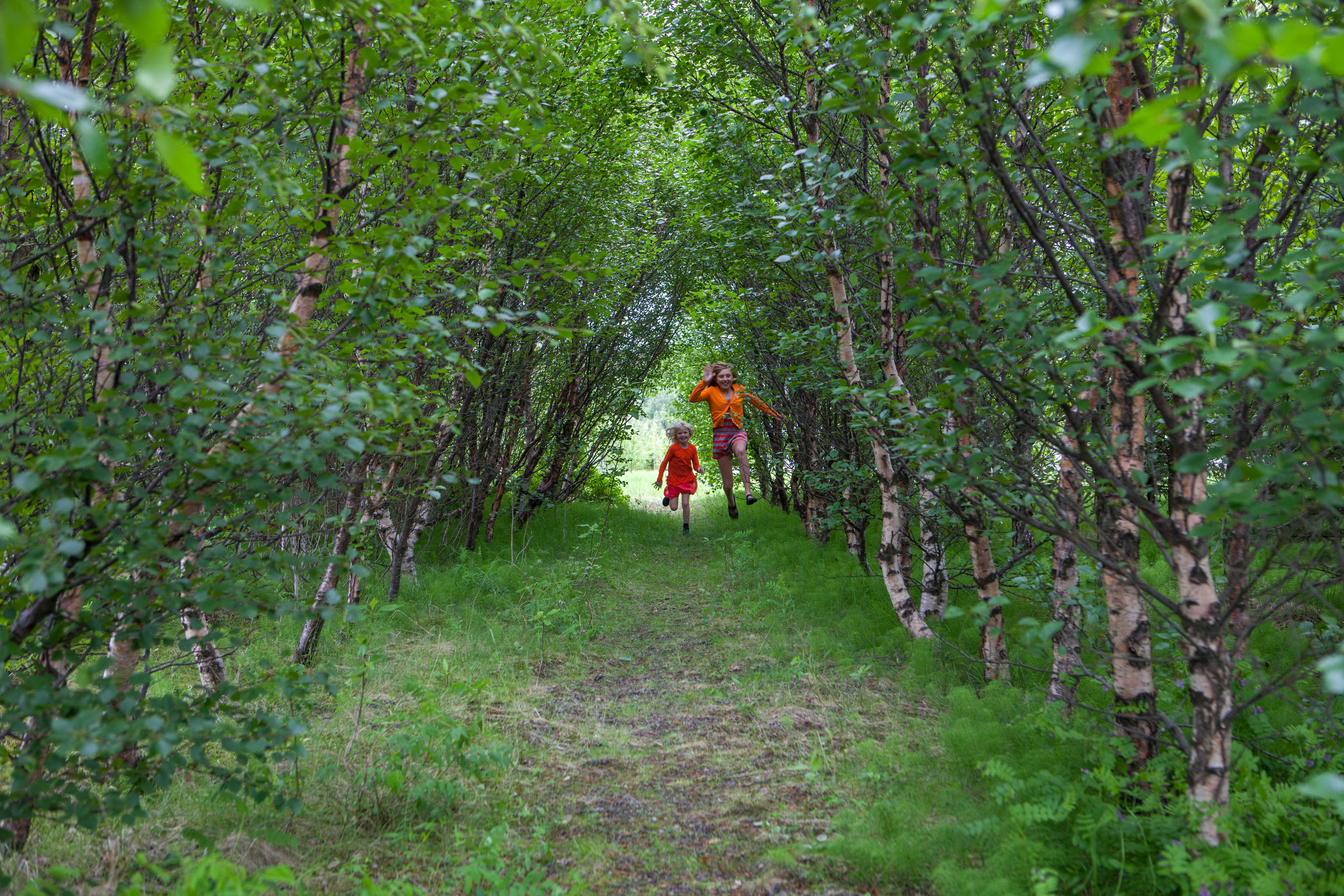 融入自然的冰岛“大小石城”-30