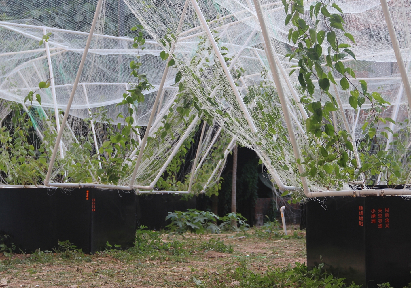 深圳天际农场 · 农民智慧融入城市更新-33