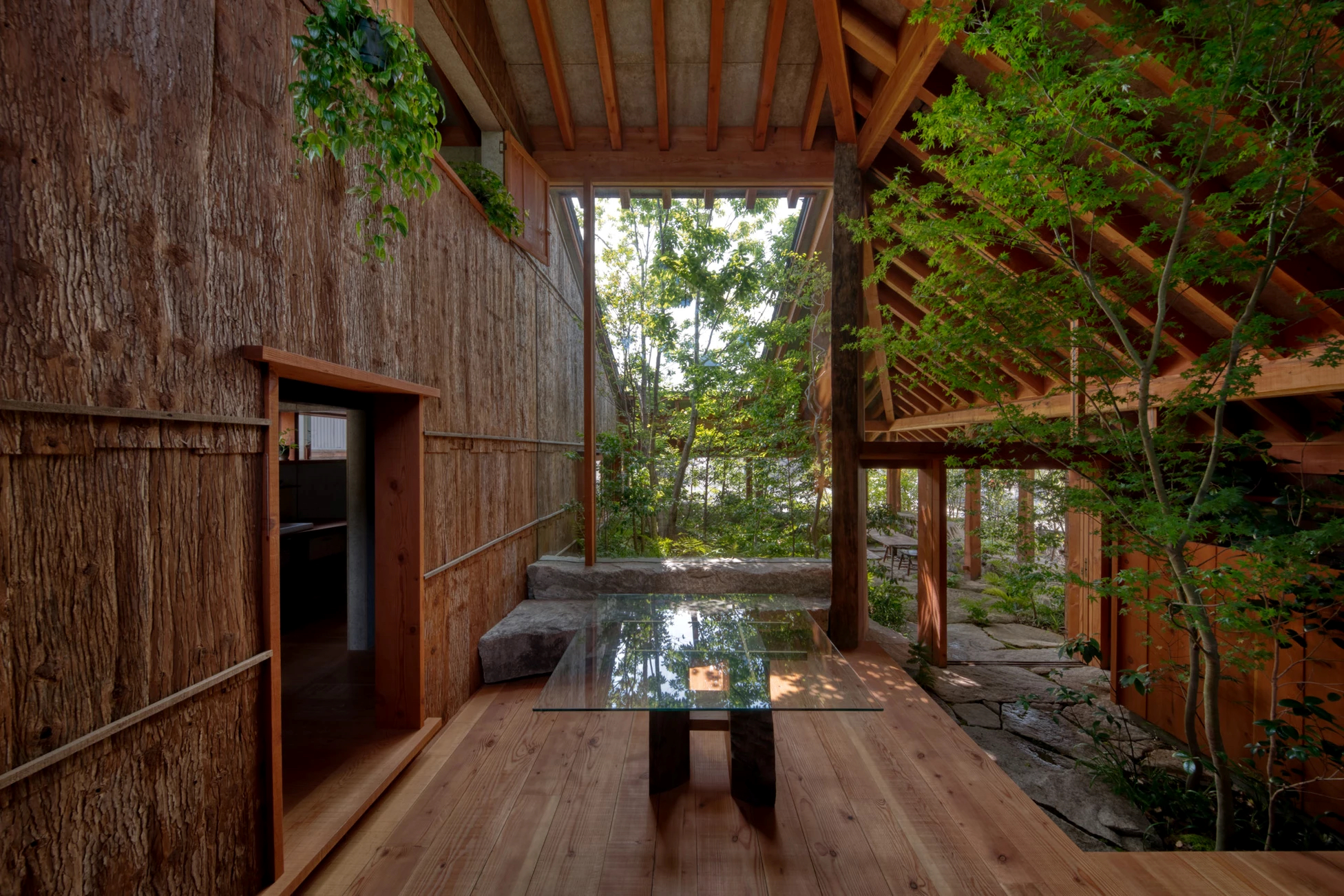 石头缝里的生机 · 大地之家的绿色创新设计-24