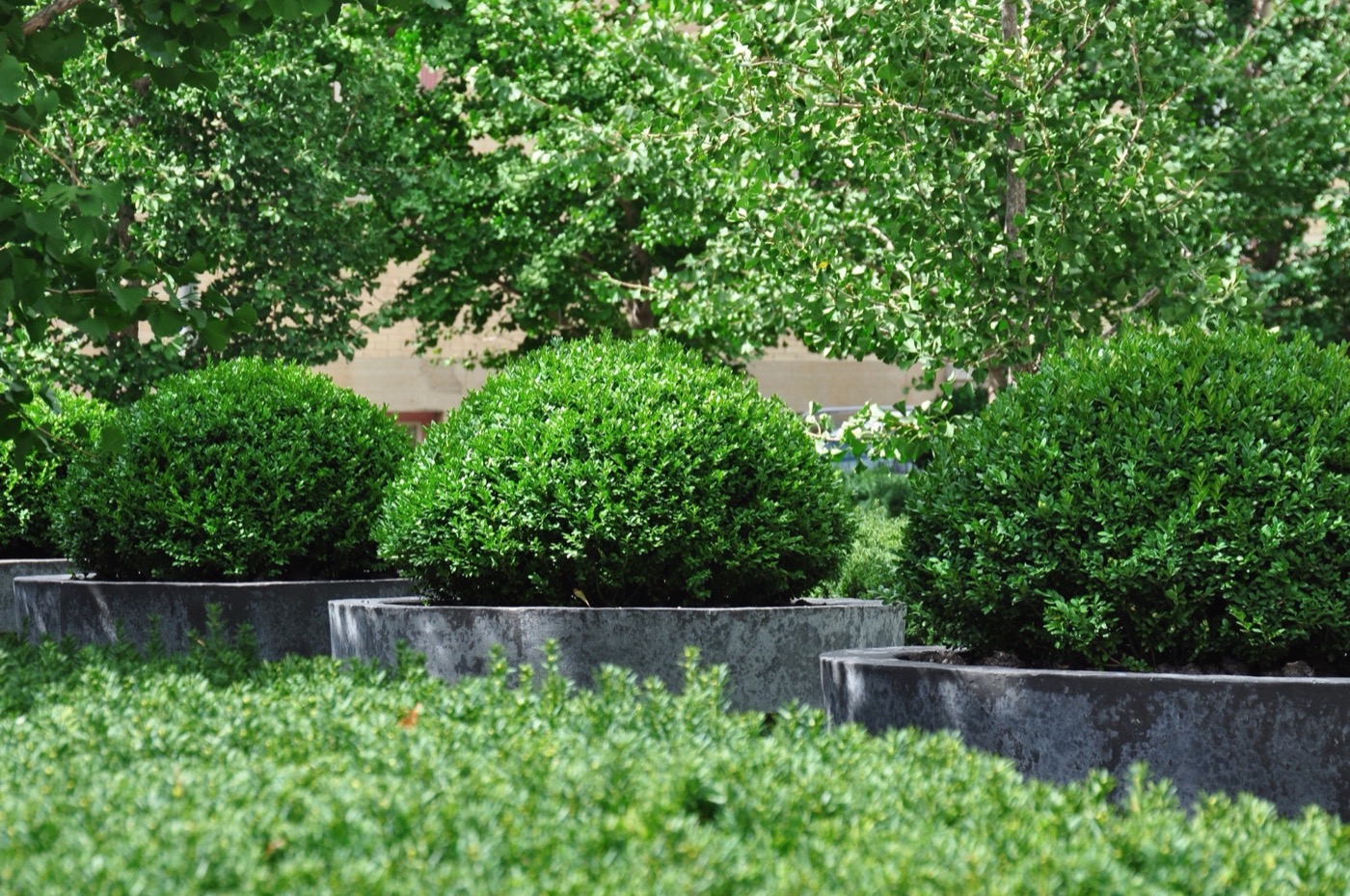 多伦多城镇大厅广场丨加拿大多伦多丨Janet Rosenberg Studio-9