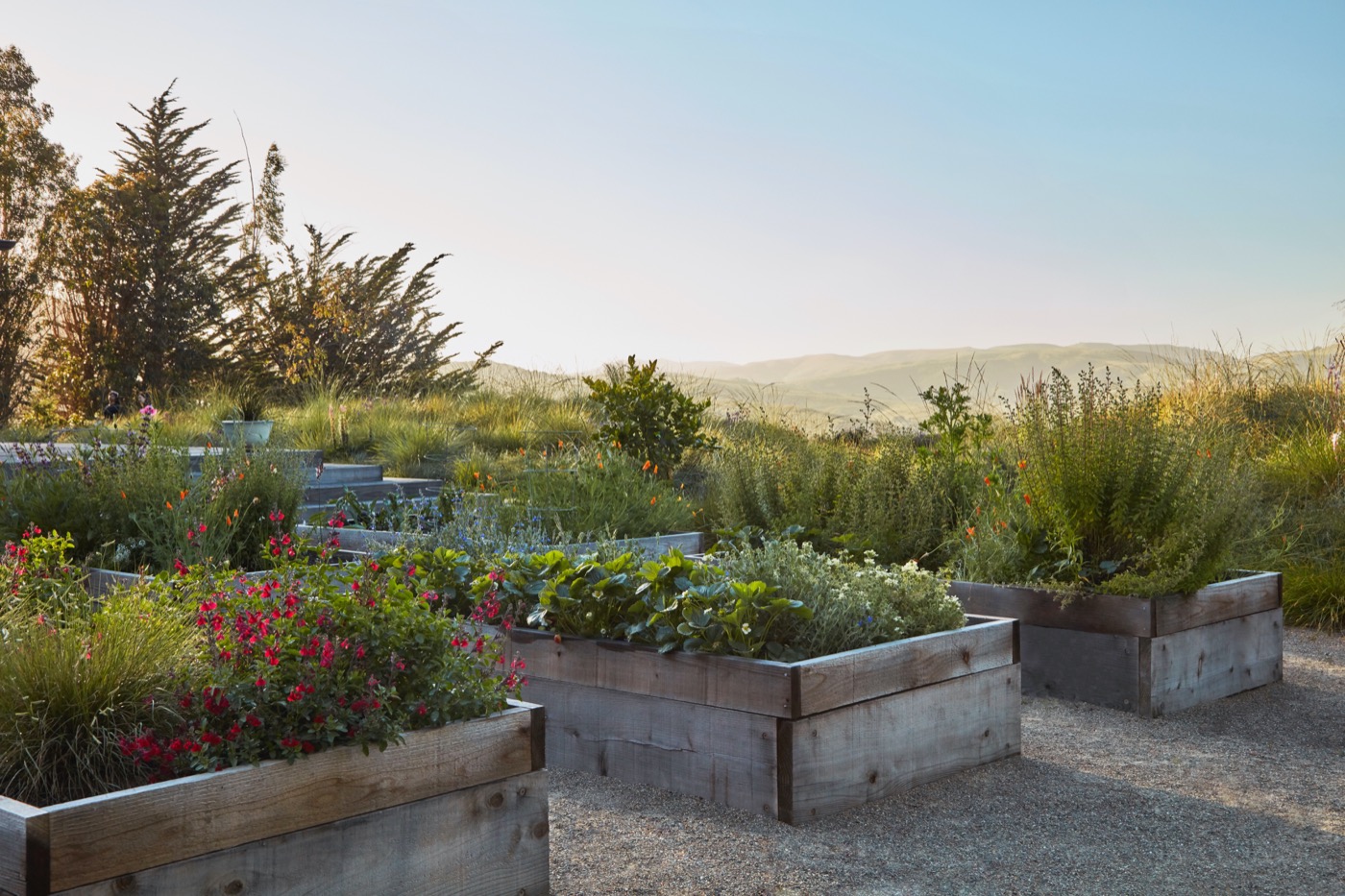 加州牧场风景中的诗意花园丨美国加利福尼亚丨Terremoto-8