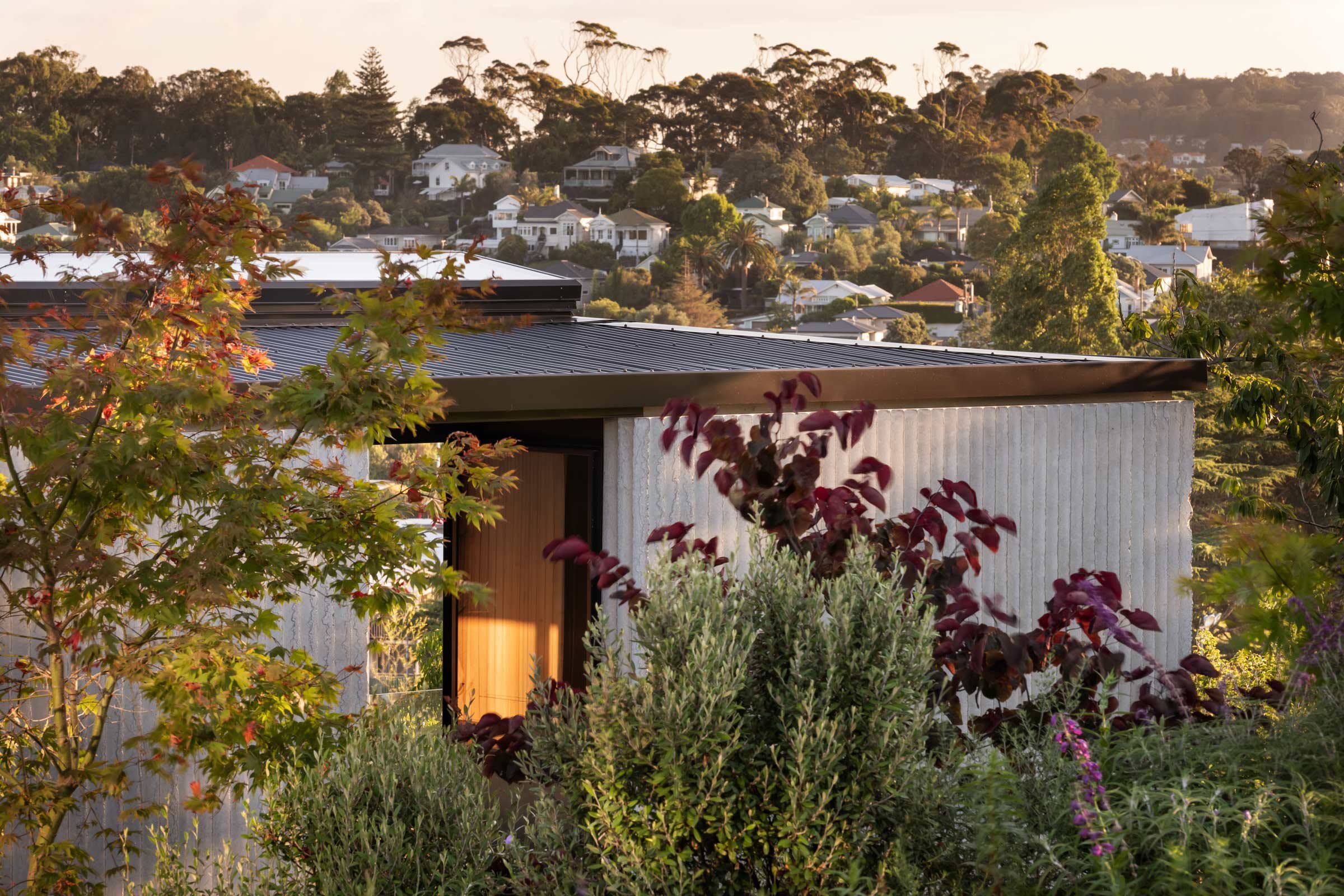 紧凑但宽敞的家庭住宅丨新西兰奥克兰丨Oli Booth Architecture-45