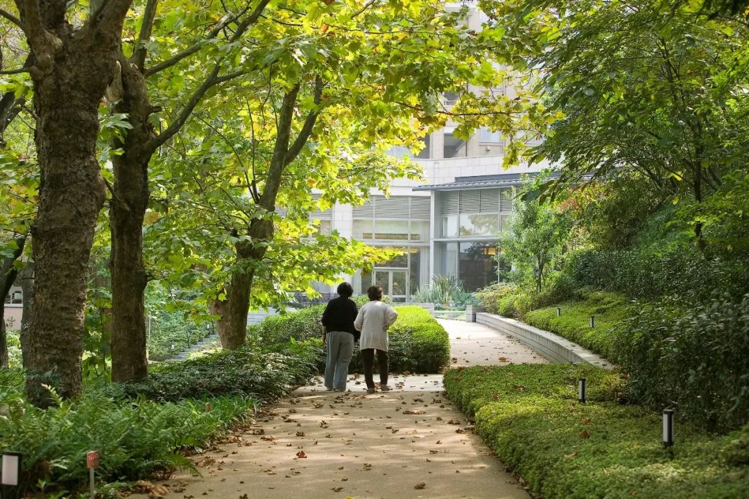 神户太阳城养老社区 | 城市中的宁静绿洲-7