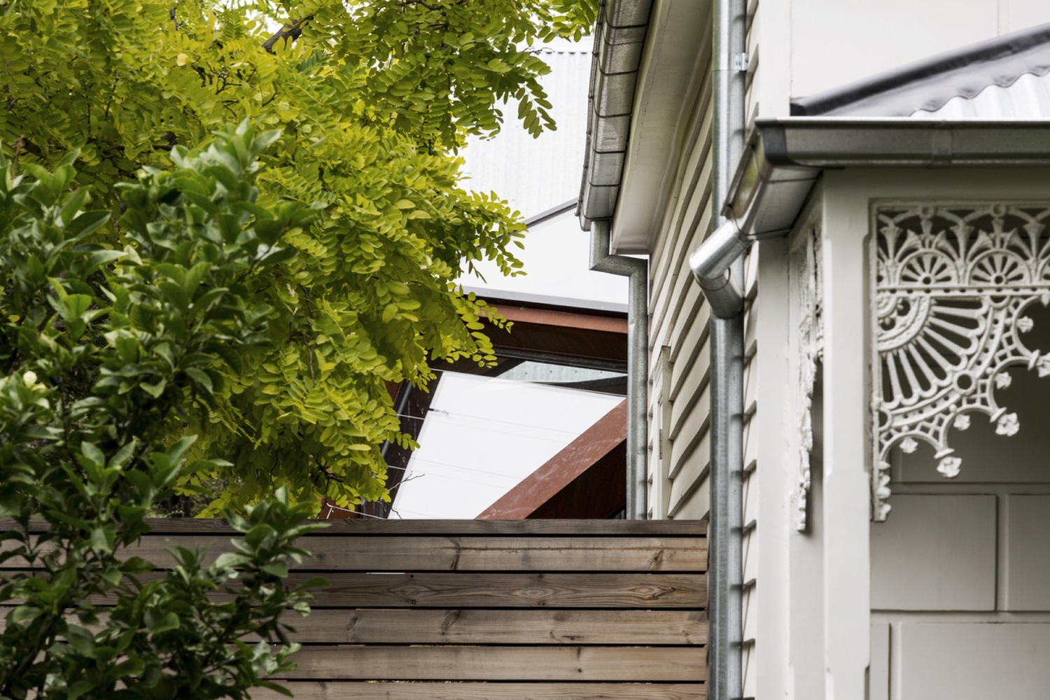 墨尔本郊区“Wheat House”的绿色延伸-35