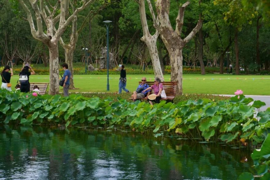 中国园林·理事专栏|“拓”之力量:杨浦公园改造纪实(三)-126