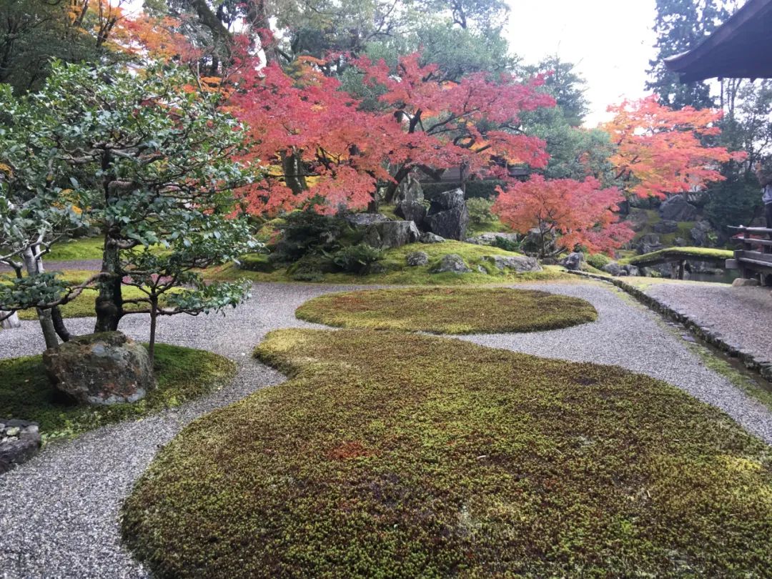 枯山水 · 日本古典园林设计丨苏州裕成园林-9