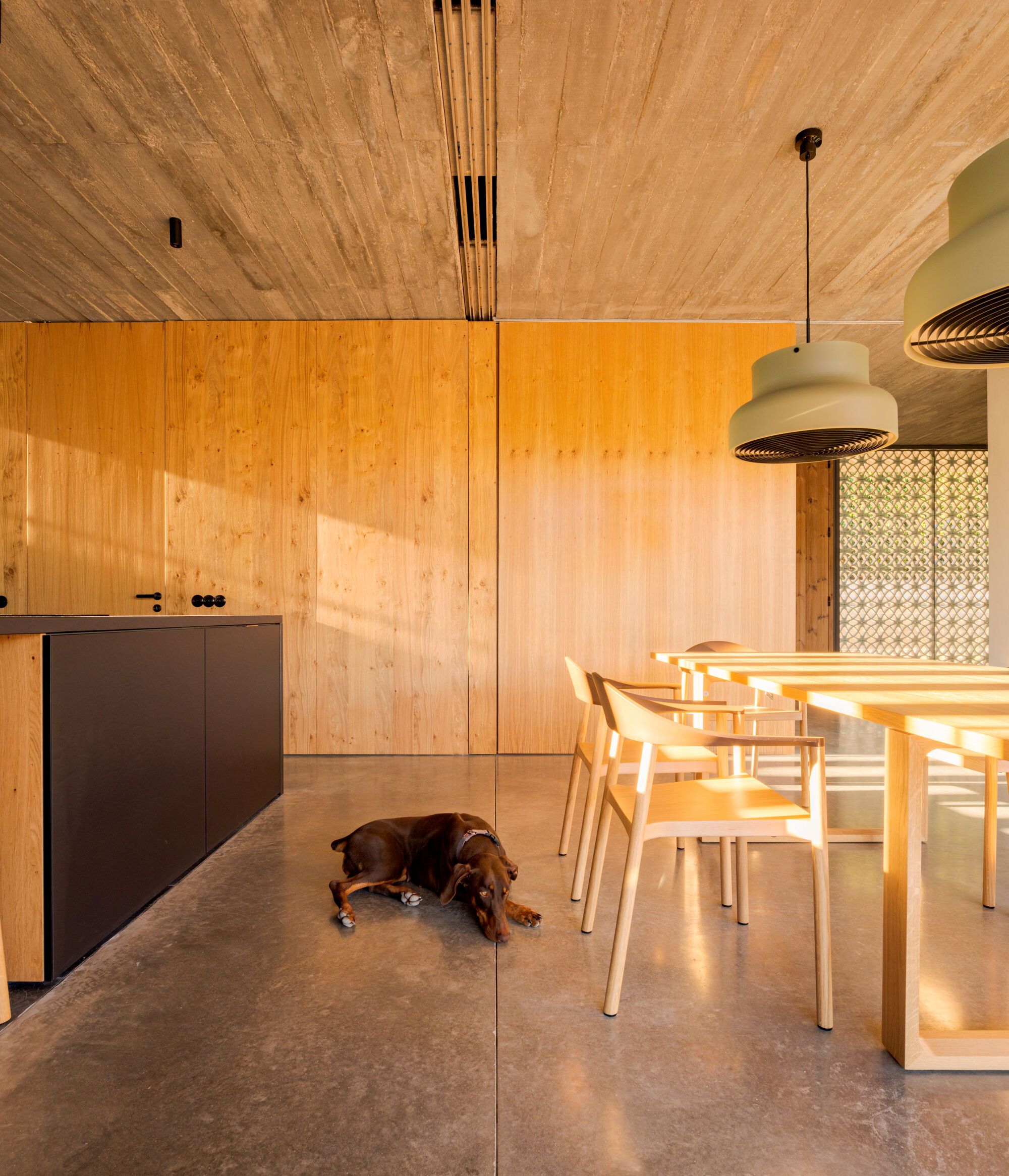 普拉亚韦尔德的房子丨葡萄牙丨Atelier Central Arquitectos-20