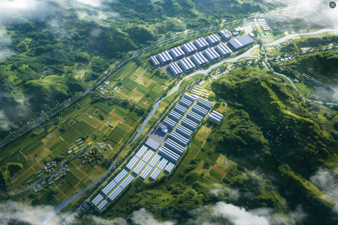 助力现代农业升级！中联西北院新中标现代农业全咨项目-13