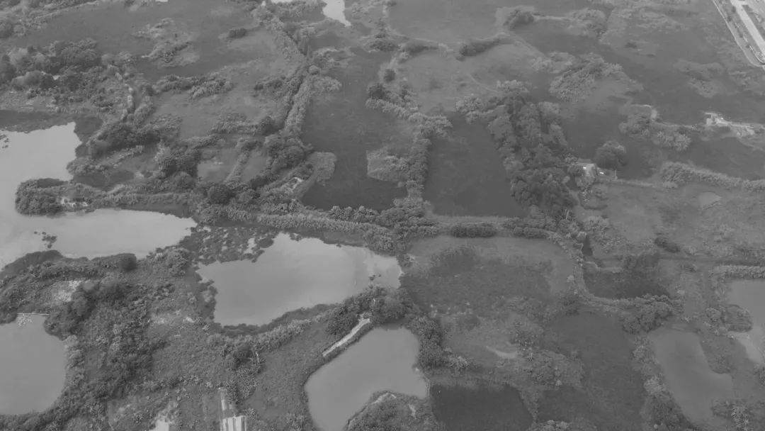 佛山一中顺德校区丨中国佛山丨陈东华建筑事务所+顺德院-134