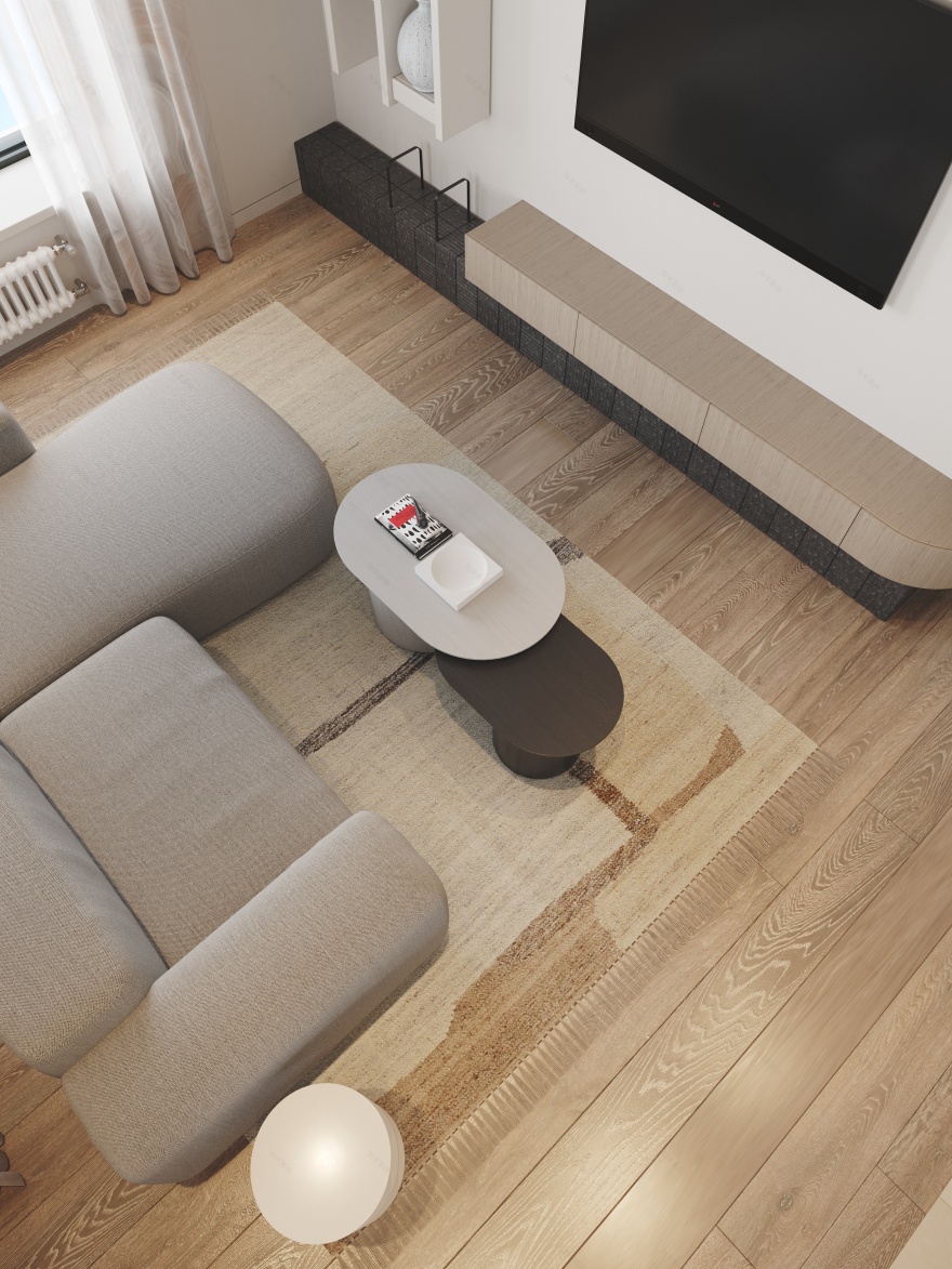 当代公寓设计项目丨俄罗斯莫斯科丨Elena Krasnova,Ksenia Semenova-10