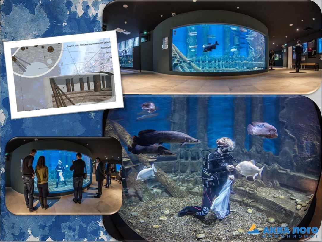 科加雷姆海洋馆“Aquatika”丨Aqua Logo Engineering-9