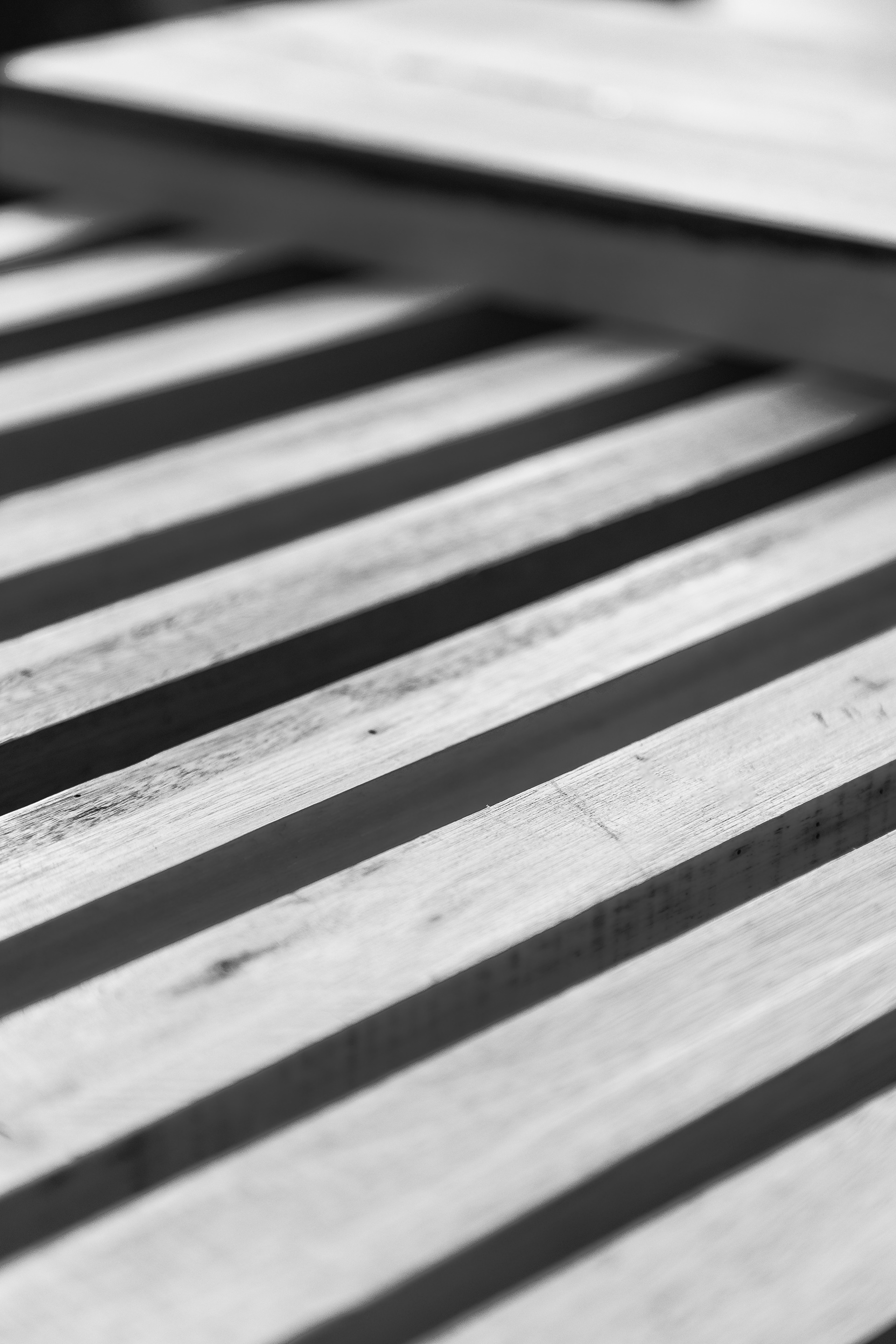 Maderera / Lumber company-3