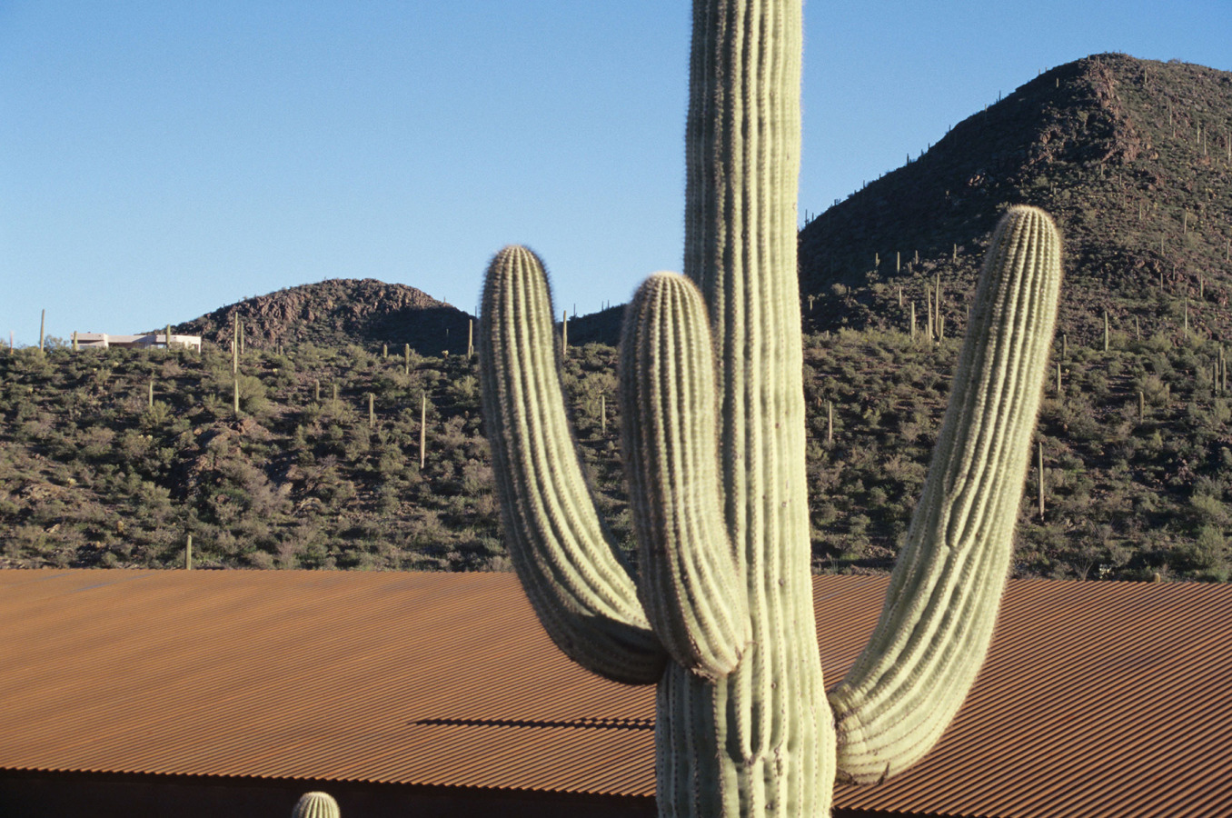 丨美国图森丨Rob Paulus Architects-2