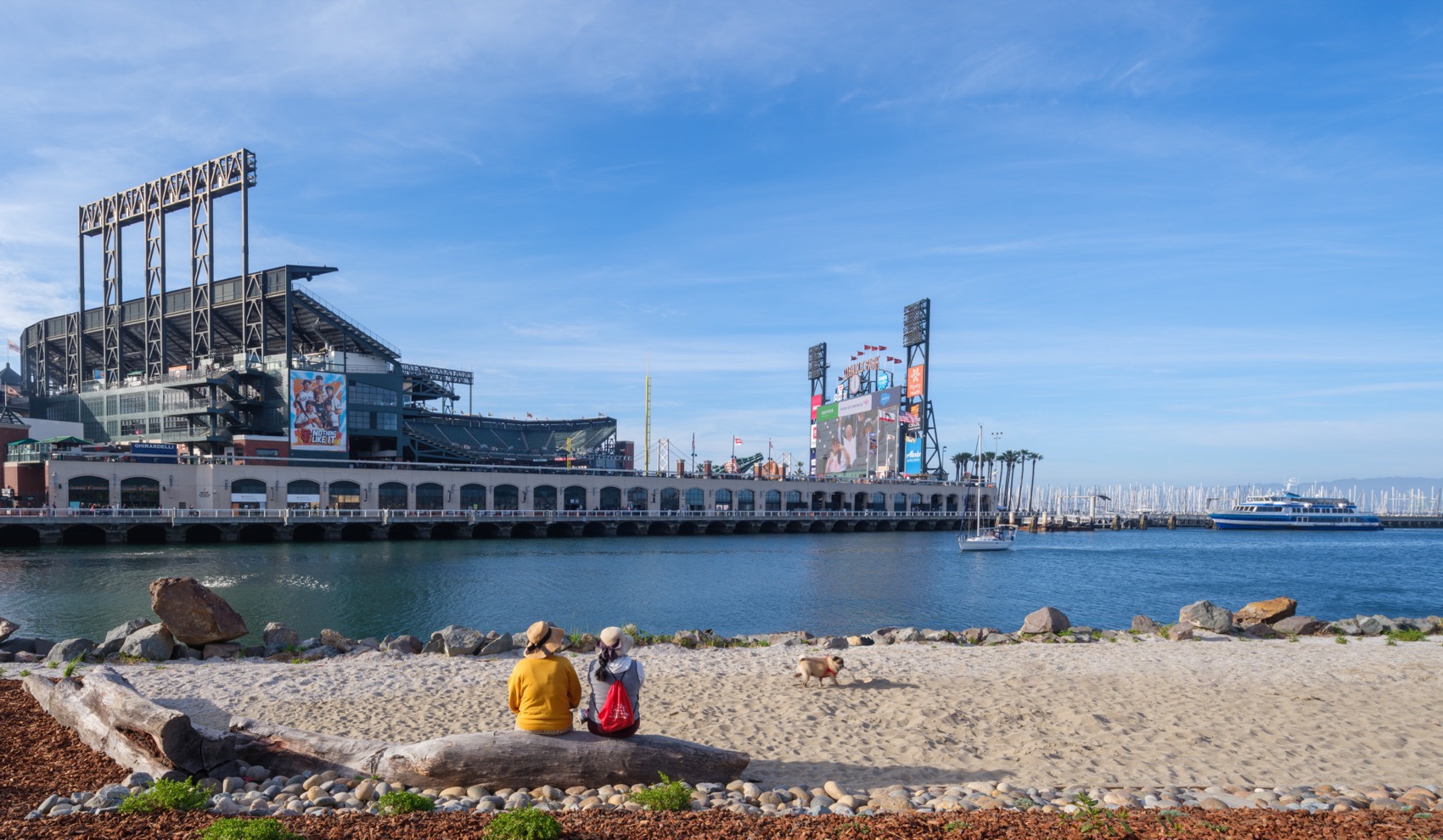 Visa 新市场支持中心丨中国金山丨Henning Larsen-60