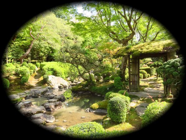 日本私立学校振興・共済事業団京都宿泊所『白河院』丨日本京都丨武田五一(建筑),七代目小川治兵衛(植治)(庭园)-60