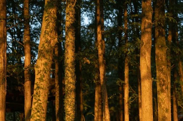 杭州隐外餐厅丨中国杭州丨大相设计-3