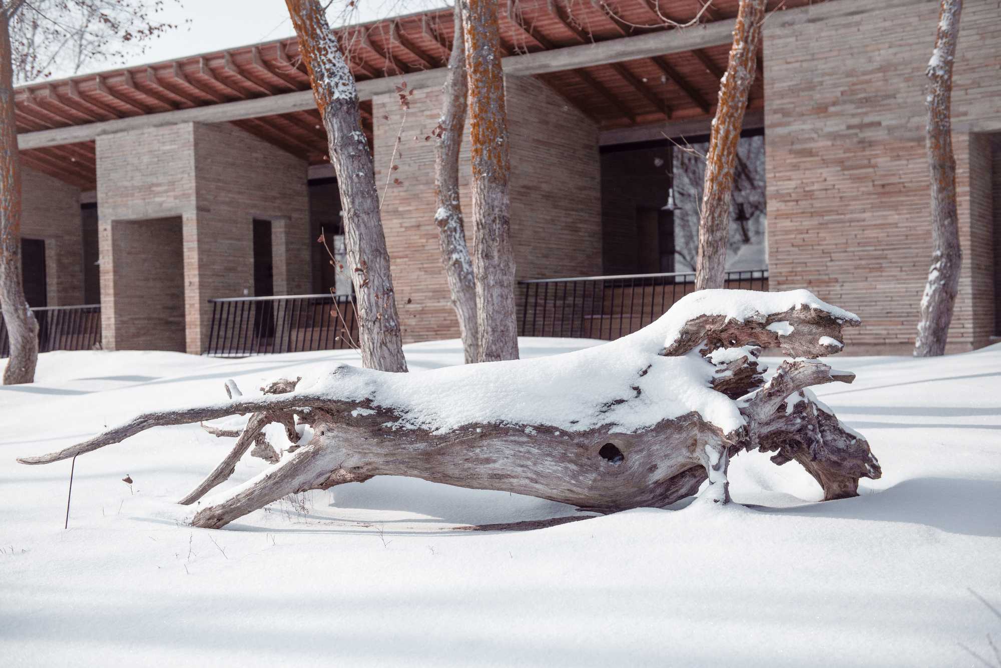 康普莱酒店·斯塔罗多内丨俄罗斯丨Architectural Studio Chado-35