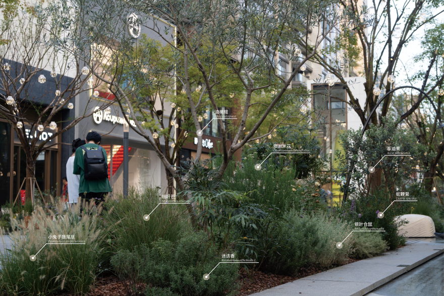 亚奥万象天地丨中国杭州丨风物营造Landtek Group-31