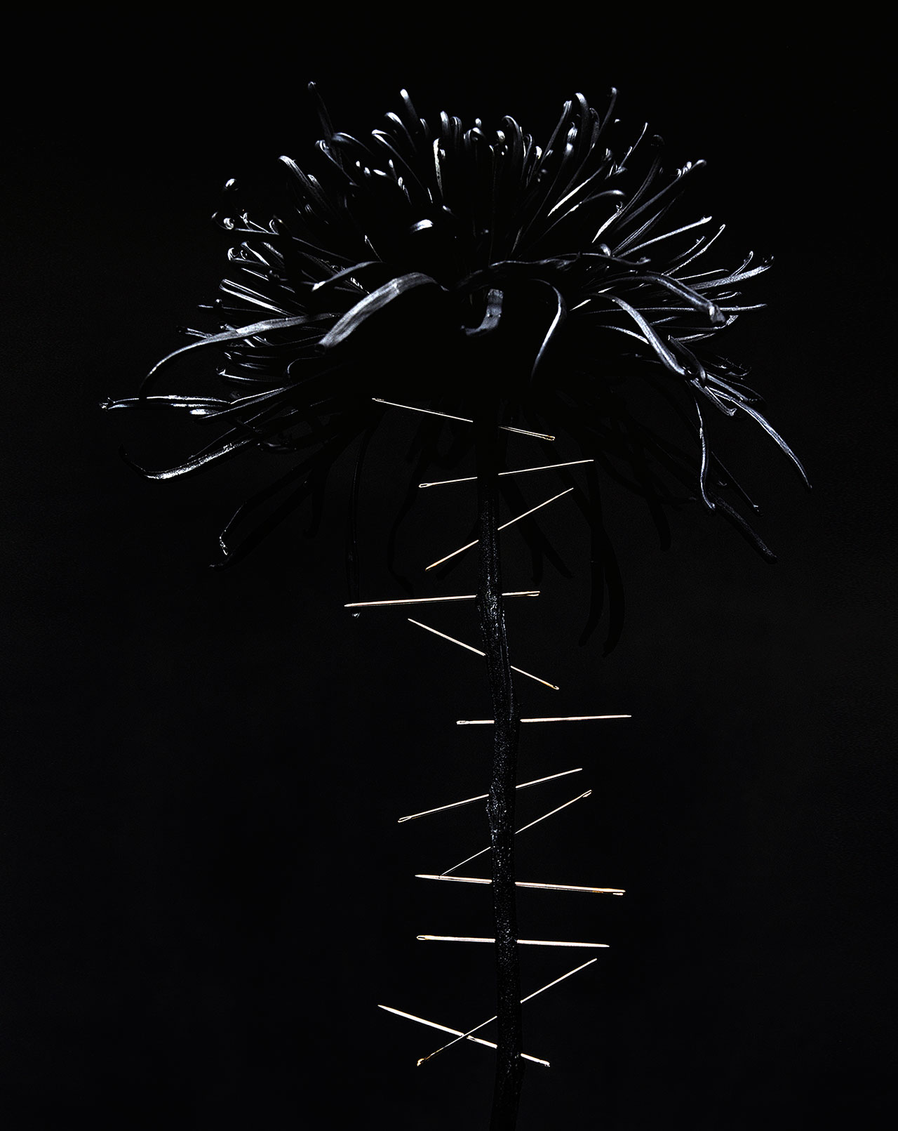 奇异梦境 | 摄影师 Namiko Kitaura 的艺术世界-53