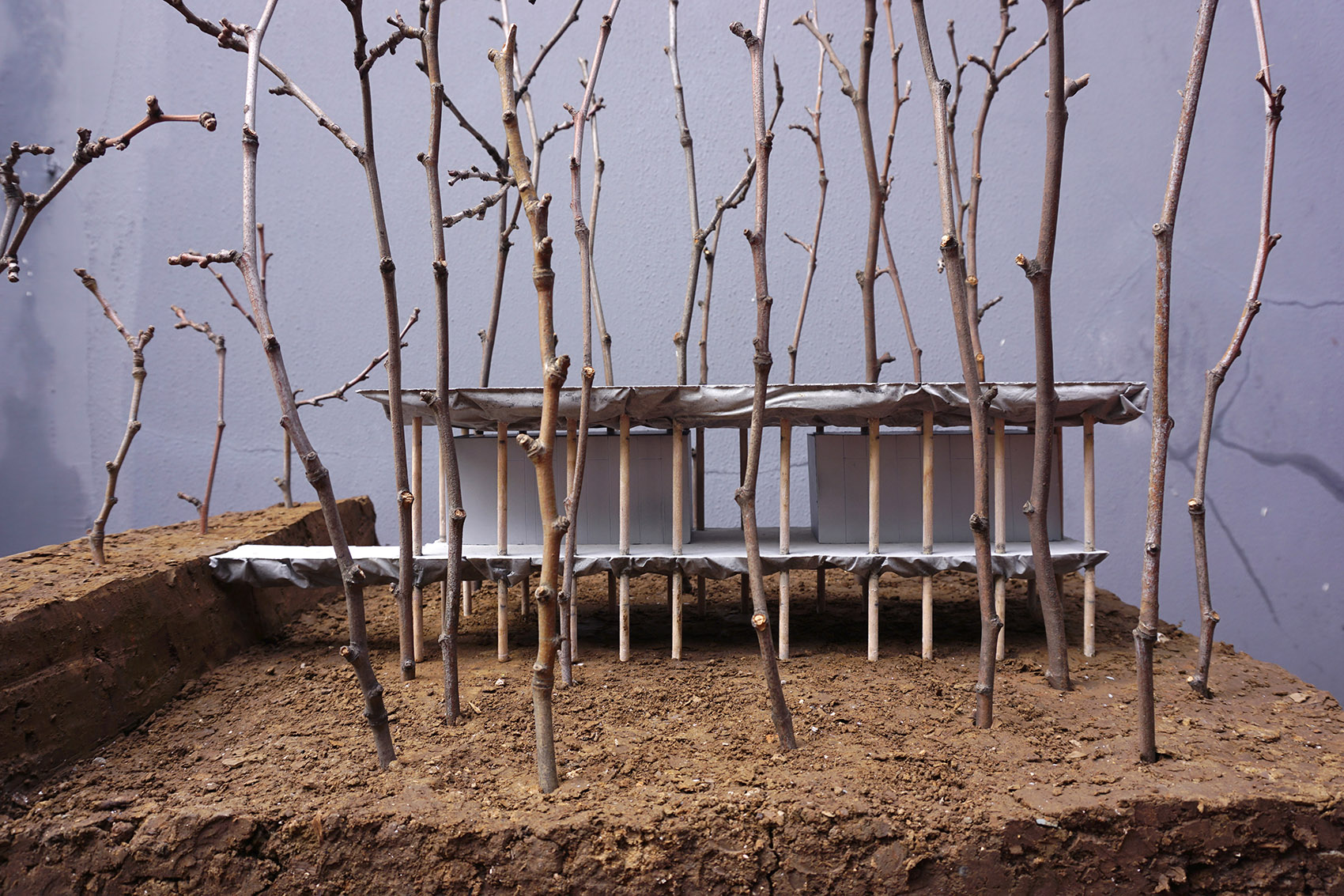 谷里的窗,树上的云,南京四方艺术湖区公共卫生间丨中国南京丨南京大学建筑规划设计研究院有限公司 物物建筑-127