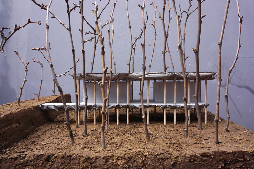 谷里的窗,树上的云,南京四方艺术湖区公共卫生间丨中国南京丨南京大学建筑规划设计研究院有限公司 物物建筑-127