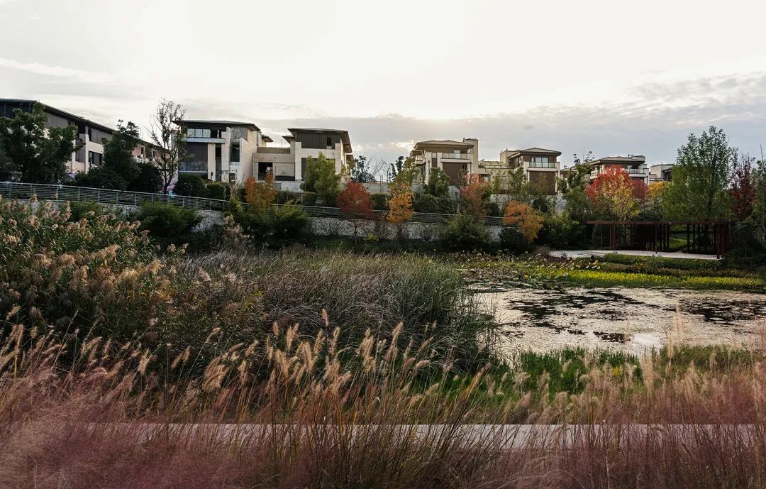 南京仁恒凤凰山居丨中国南京丨上海中房建筑设计有限公司-12