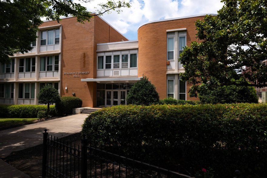 阿祖雷斯南部丨俄罗斯圣彼得堡丨Amaza Lee Meredith-38