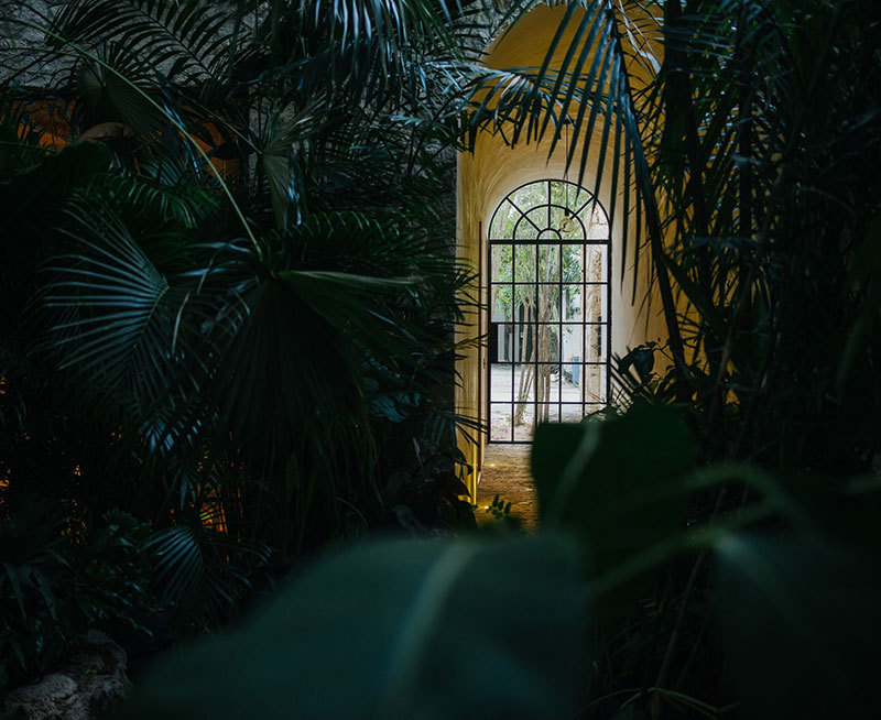 墨西哥图伦绿色环绕的异域别墅-15