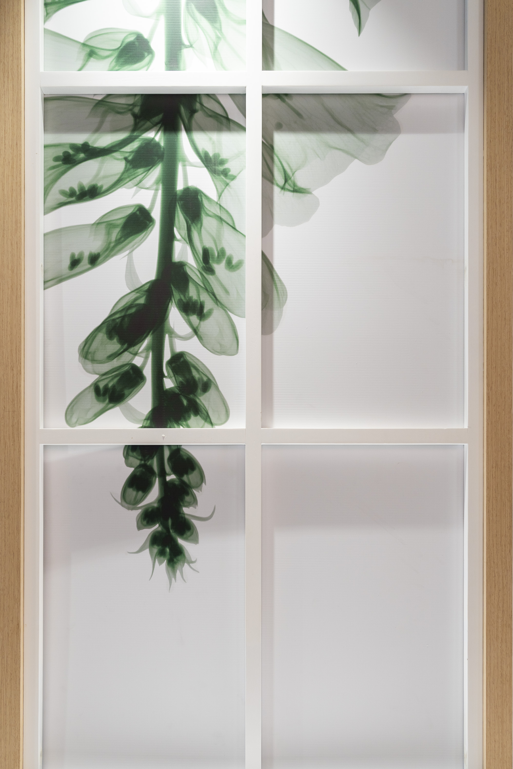 BARA 植物药房室内设计-29