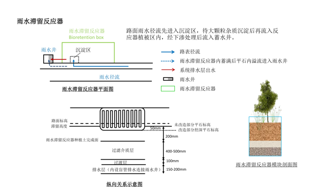 百桥路海绵化改造-48